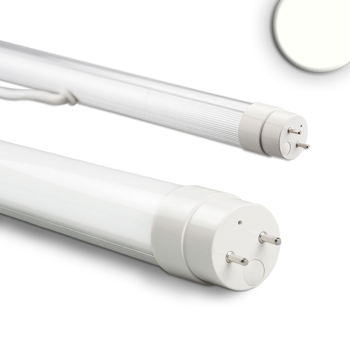 Highline+ | LED-buis | T8 | mat
