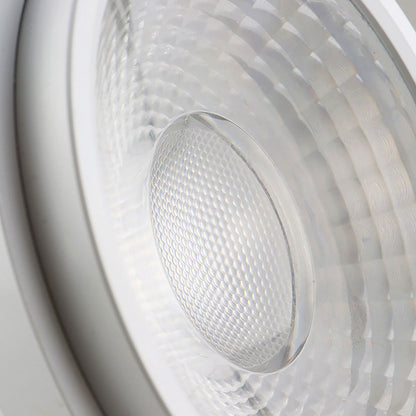 AR111 | Inbouwspot | 35-50° instelbaar | externe driver | 30W