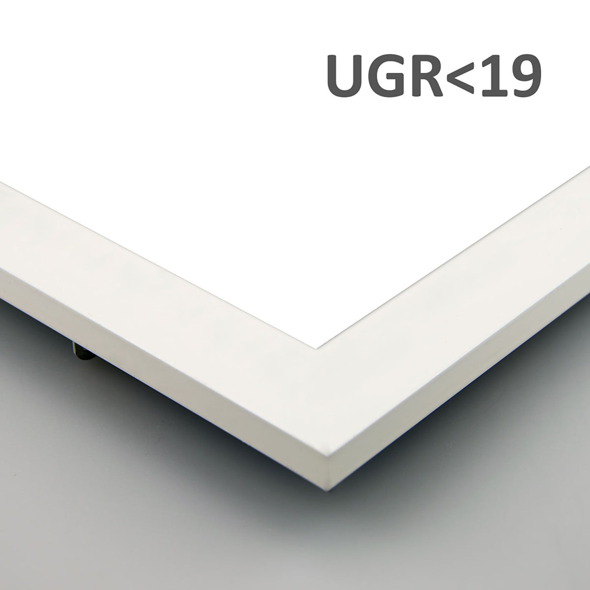 Business Line 625 | LED Paneel | 62,5x62,5cm | UGR<19 | KNX dimbaar | 36W