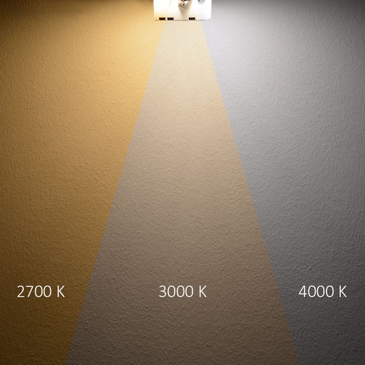 Ombouwplaat | LED-lamp | rond 250mm | CCT 2600/3100/4000K | magneet | 25W