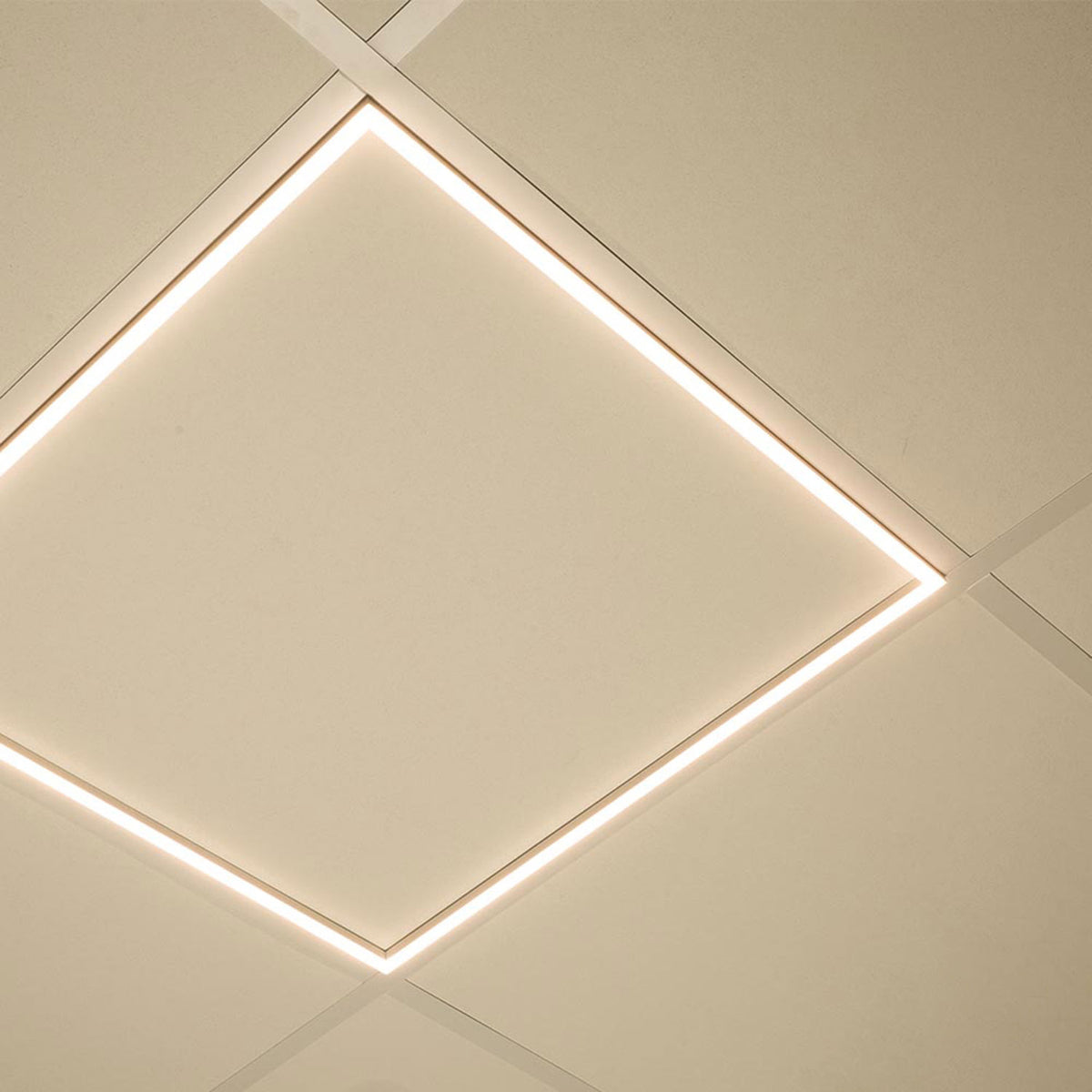 Frame 625 | LED Paneel | 62,5x62,5cm | Push/DALI dimbaar | 40W