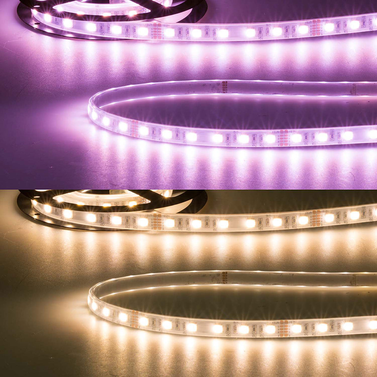 AQUA RGB+WW | LED-strip | 4in1 | 19W/m | 24V | IP67 | 5m