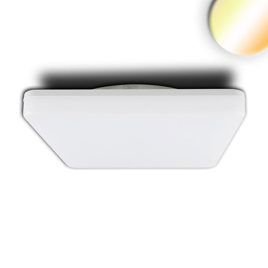 Wand- en plafondlamp | hoekig | met HF-sensor | IP54 | 3000K/4000K | 24W