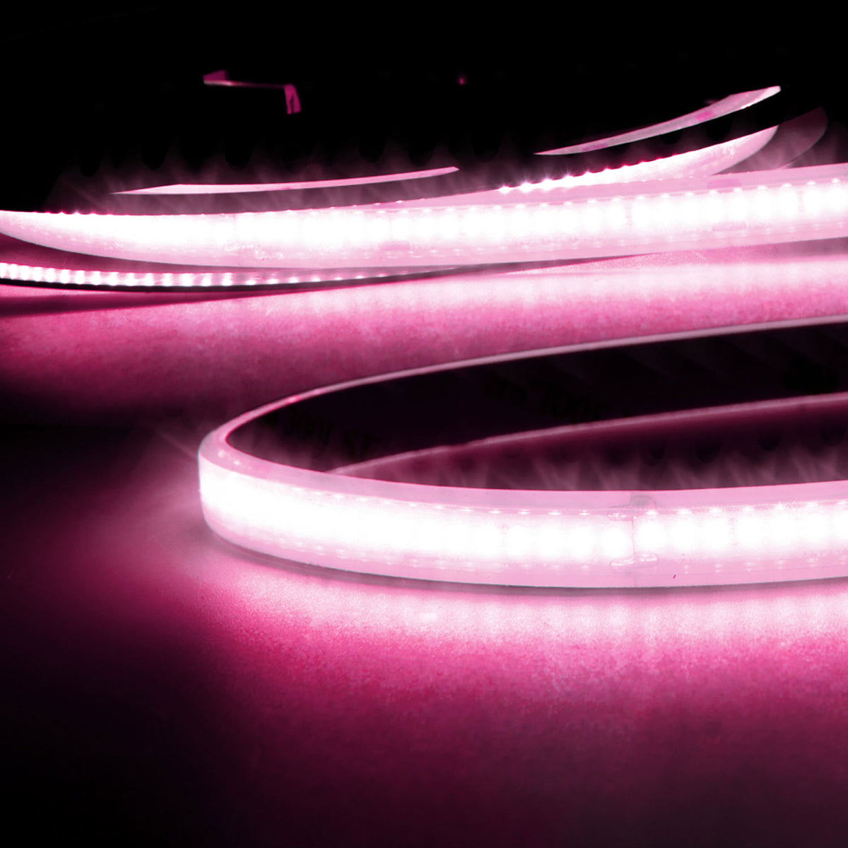 AQUA CRI9P Linear | LED-strip | 5m | roze | 8W/m | 48V | IP68