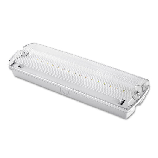 UNI4 Autotest | Noodverlichting | vluchtwegarmatuur | IP65 | 4W