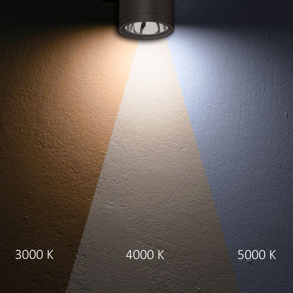 Opbouwarmatuur | plafondspot | ColorSwitch 3000K/4000K/5000K | IP65 | dimbaar
