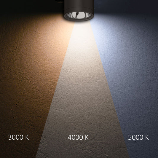 Opbouwarmatuur | plafondspot | ColorSwitch 3000K/4000K/5000K | IP65 | dimbaar