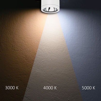 Opbouwarmatuur | plafondspot | ColorSwitch 3000K/4000K/5000K | IP65 | dimbaar