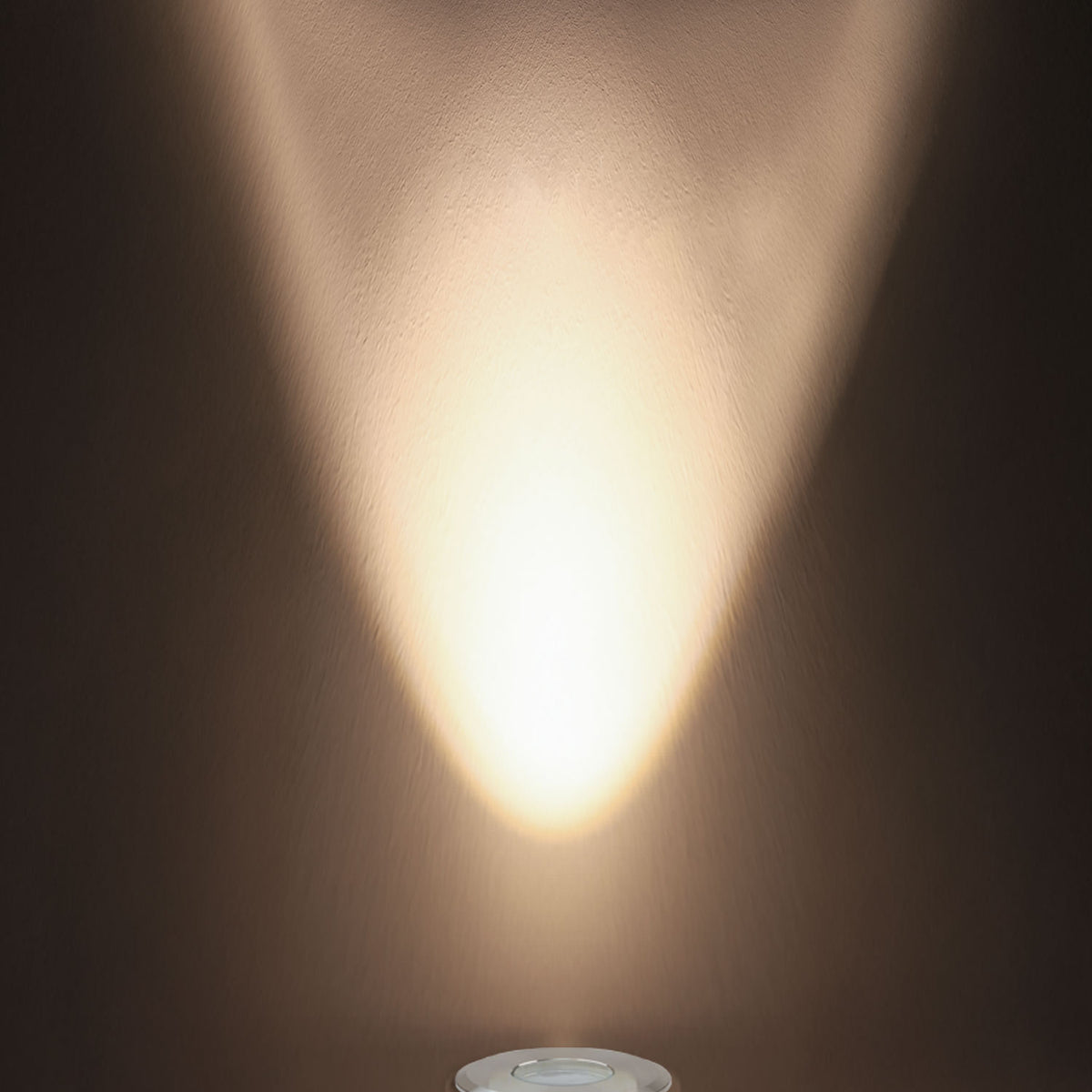 Grondspot | rond 55mm | 3W | 12-24V | IP67 | RVS