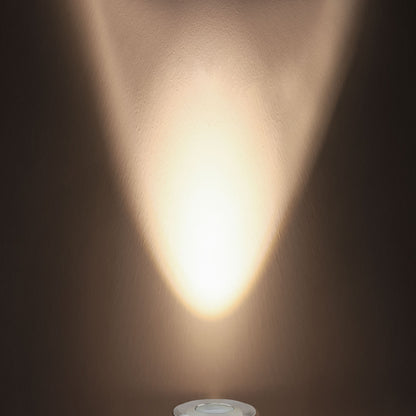 Grondspot | rond 55mm | 3W | 12-24V | IP67 | RVS