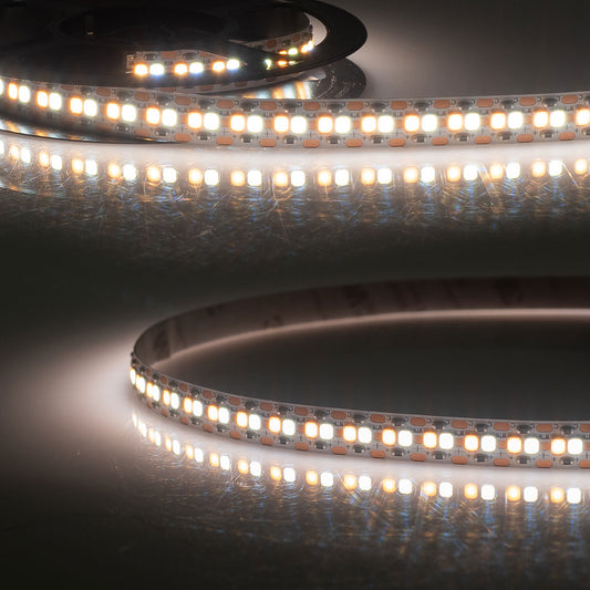 Linear10 CRI923/960 CCT | LED-strip | 5m | 2300K-6000K | 10W+10W | 240 LED/m | 24V | IP20