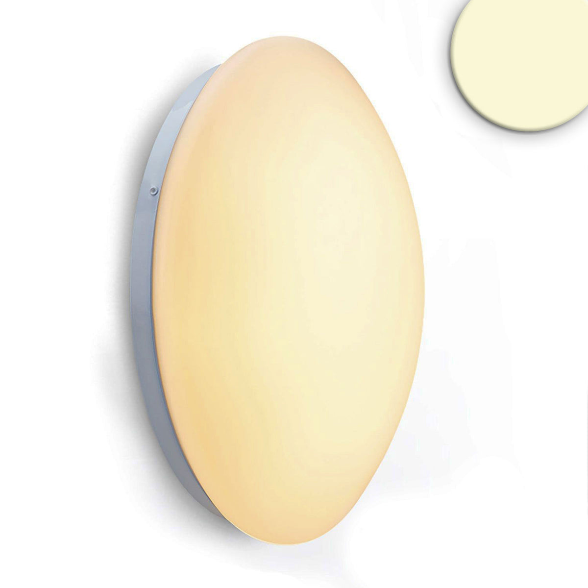 Plafondlamp | wand/plafond | rond | DN380 | 24W | IP54 | wit