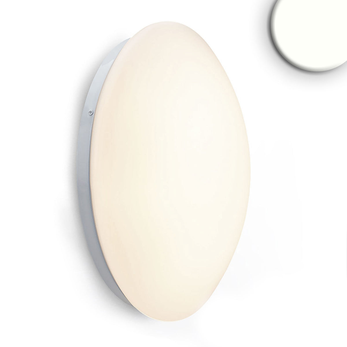 Plafondlamp | wand/plafond | rond | DN380 | 24W | IP54 | wit