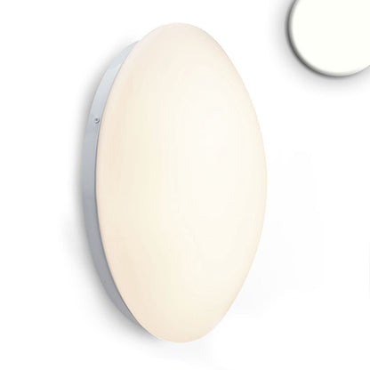 Plafondlamp | wand/plafond | rond | DN380 | 24W | IP54 | wit