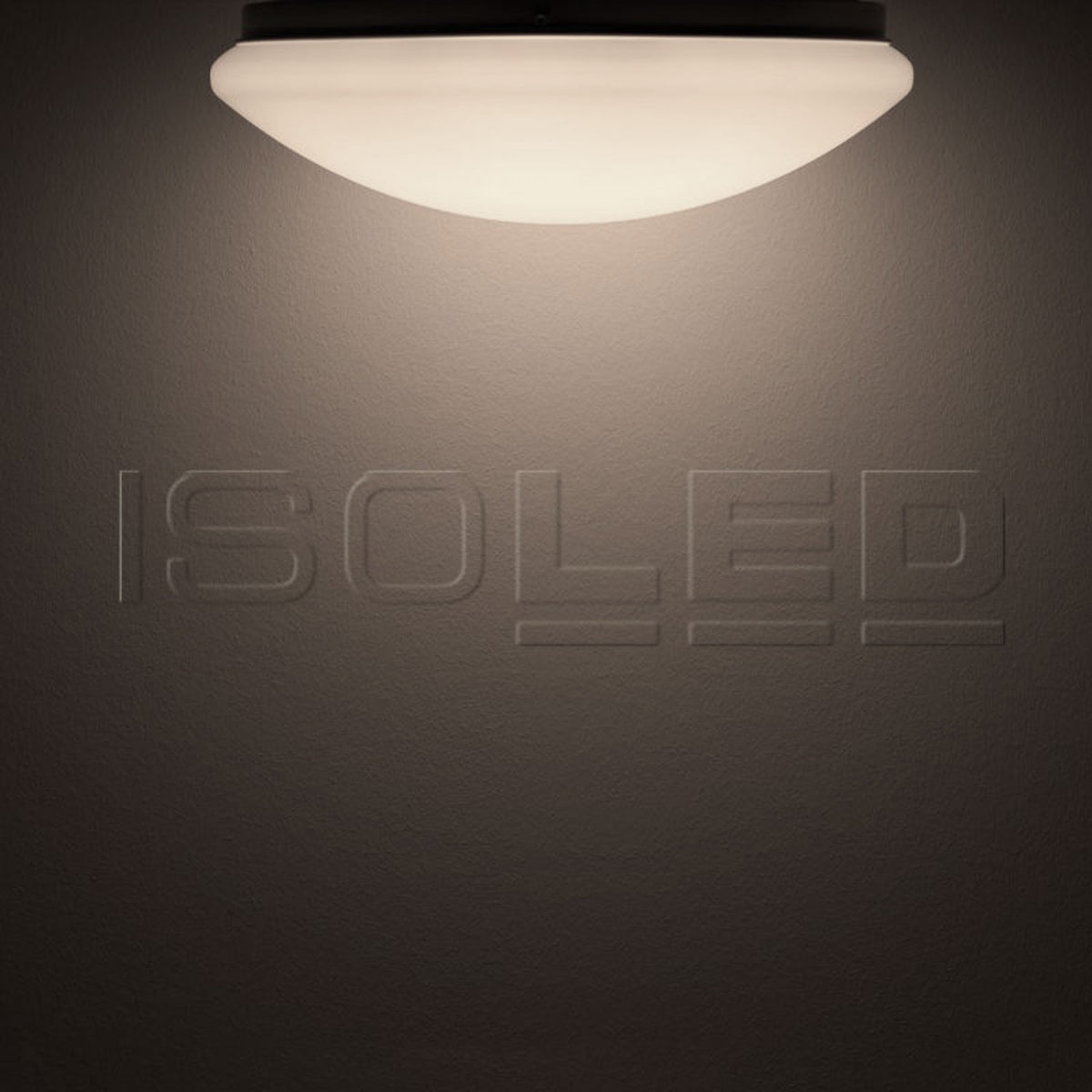 Plafondlamp | wand/plafond | rond | DN380 | 24W | IP54 | wit