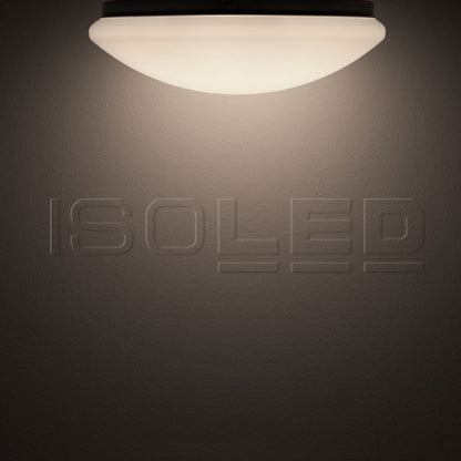 Plafondlamp | wand/plafond | rond | DN380 | 24W | IP54 | wit