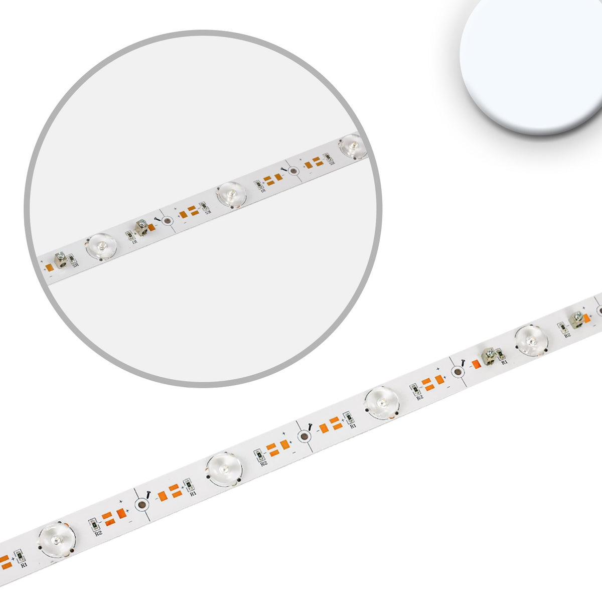 Backlight 865 | LED-module | ombouwprint | 1175mm | 180° lens | 24V | 16W | koel wit