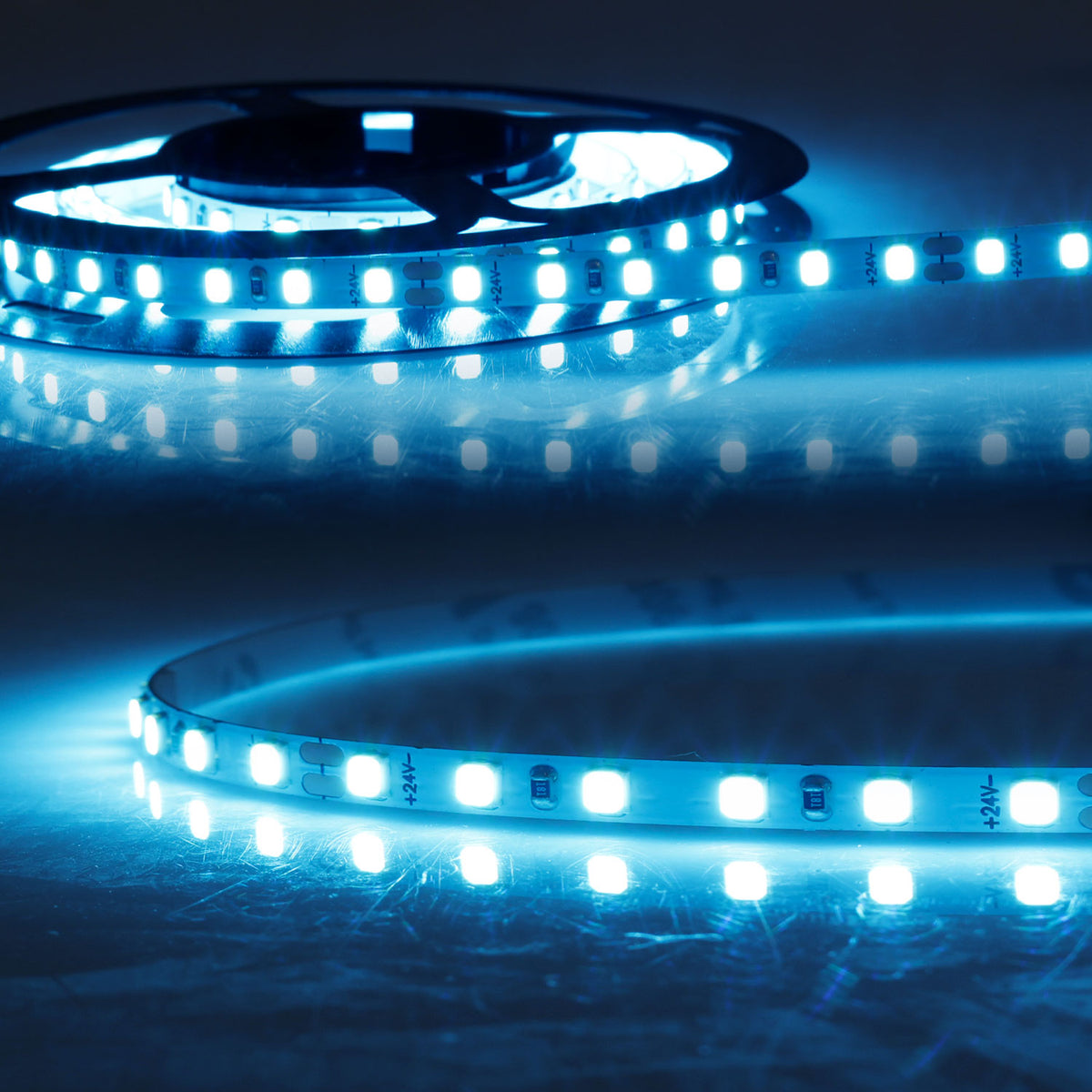 HEQ MICRO Skyblue | LED-strip | 5m | 10W/m | 120 LED/m | 24V | IP20