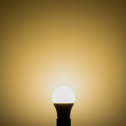Renovatiefitting E27 | LED-lamp | set met veerklem en oog | 3000K | 9W