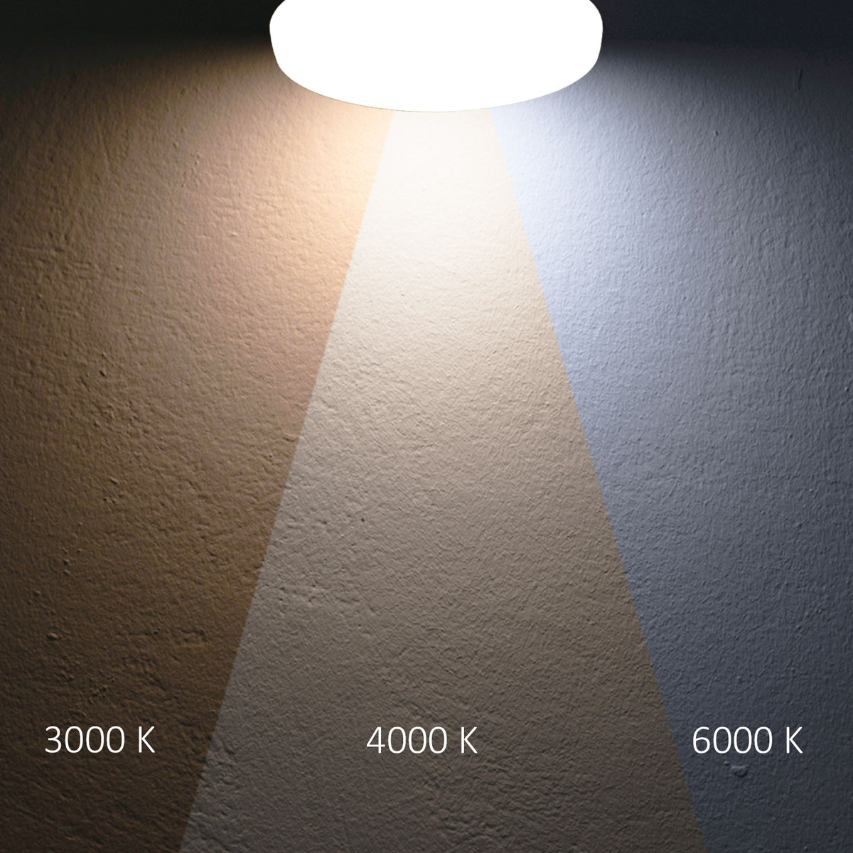 Plafondlamp | met HF-sensor | rond | DN410 | 22/32W | ColorSwitch 3000/4000/6000K | IP64
