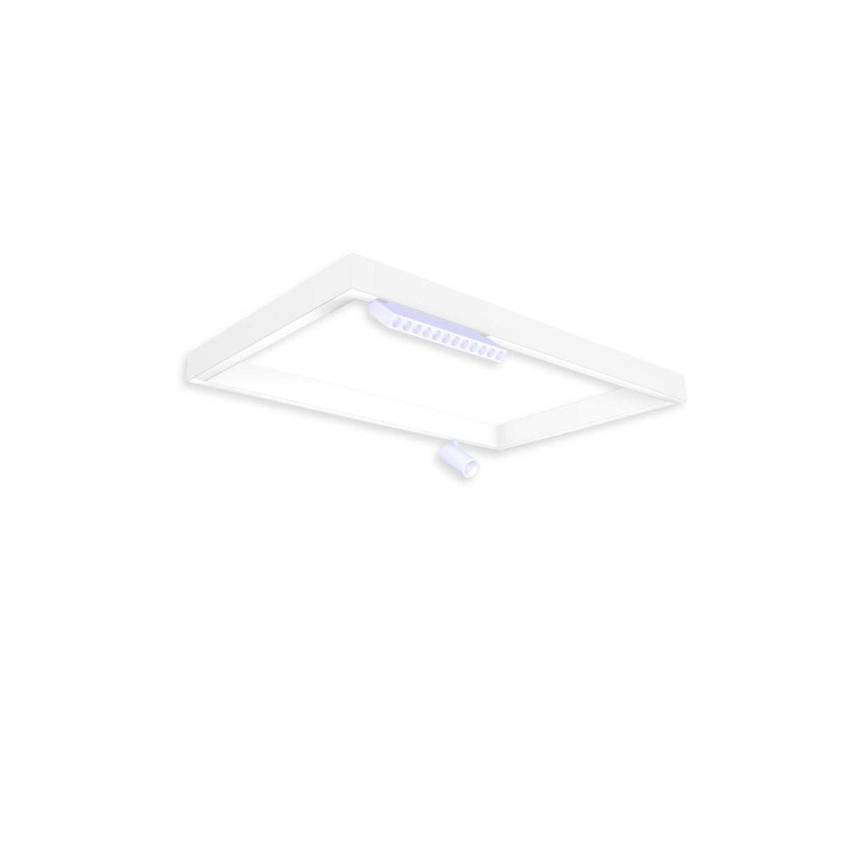 Track48 | Rail | lichtframe H50 | 500x800mm | wit