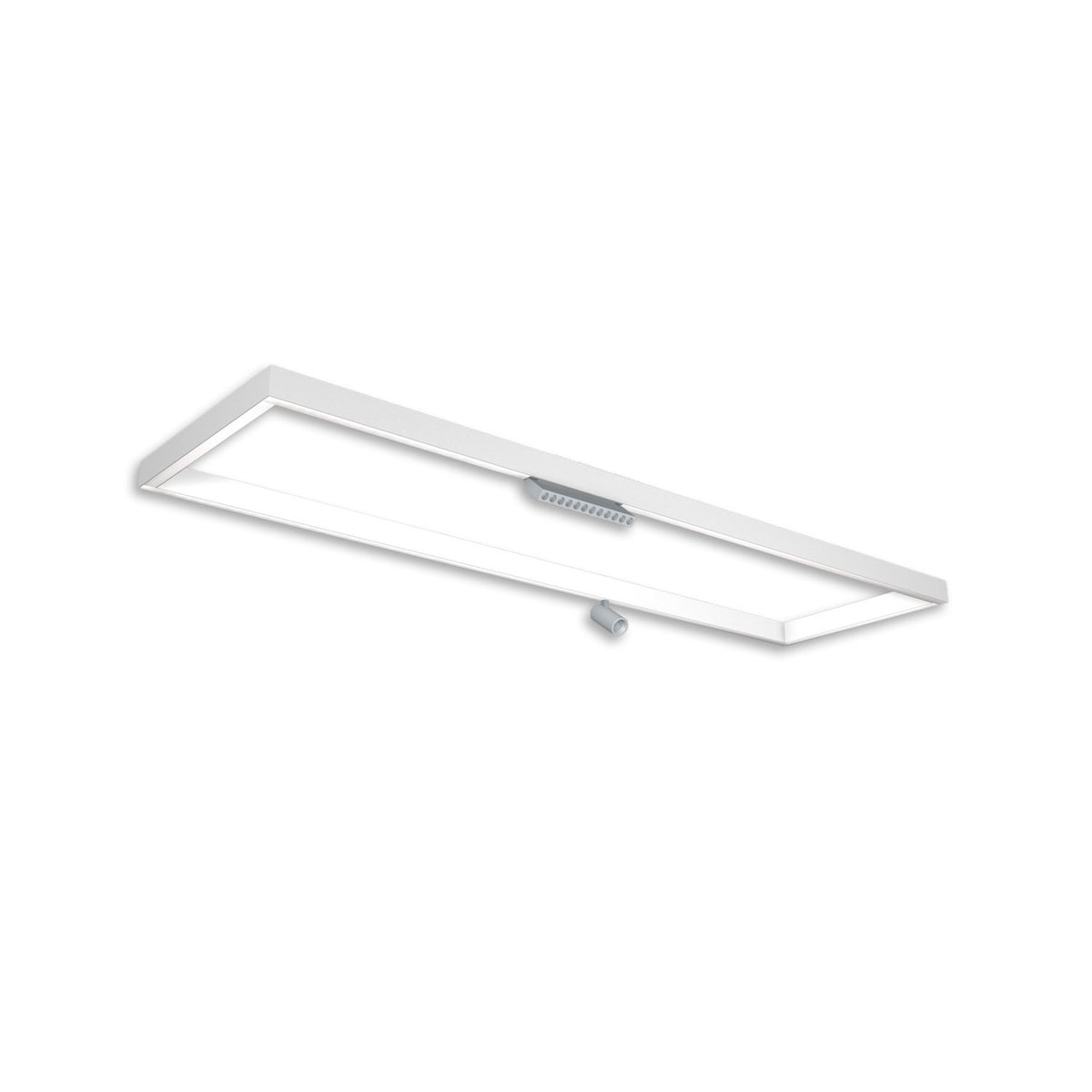 Track48 | Rail | lichtframe H50 | 320x1500mm