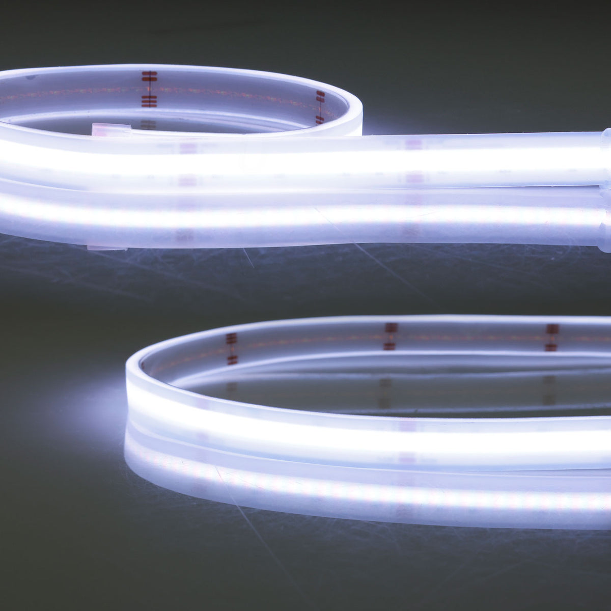HT RGB+WW COB | LED-strip | tot 100°C | 5m | 19W/m | 896 LED/m | 24V | IP68