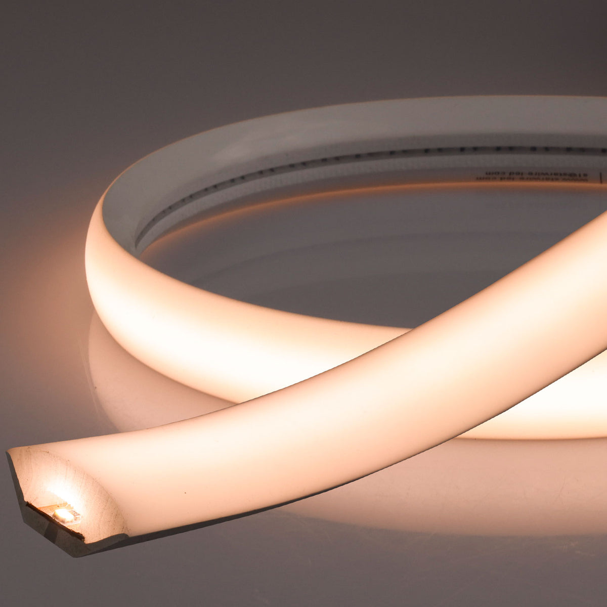 NEON927 CORNER | LED-strip | B22H11 | 5m | 2700K | 12W/m | 24V | CRI90