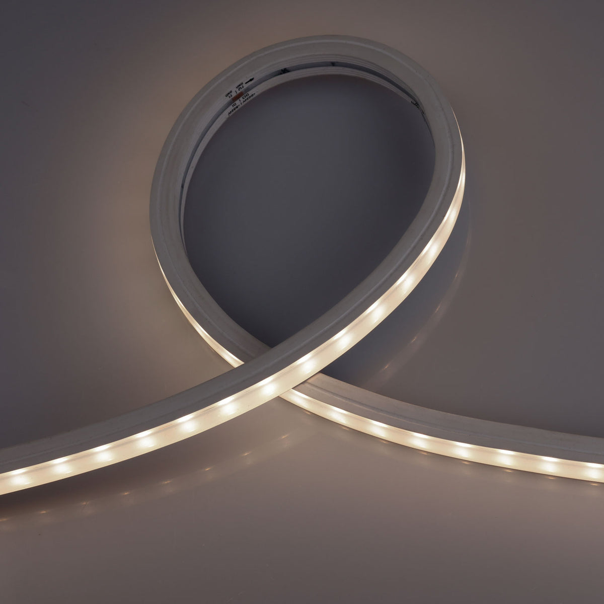 TM1934 | LED-strip | wallwasher SPI | 5m | 10W/m | 24V | IP67