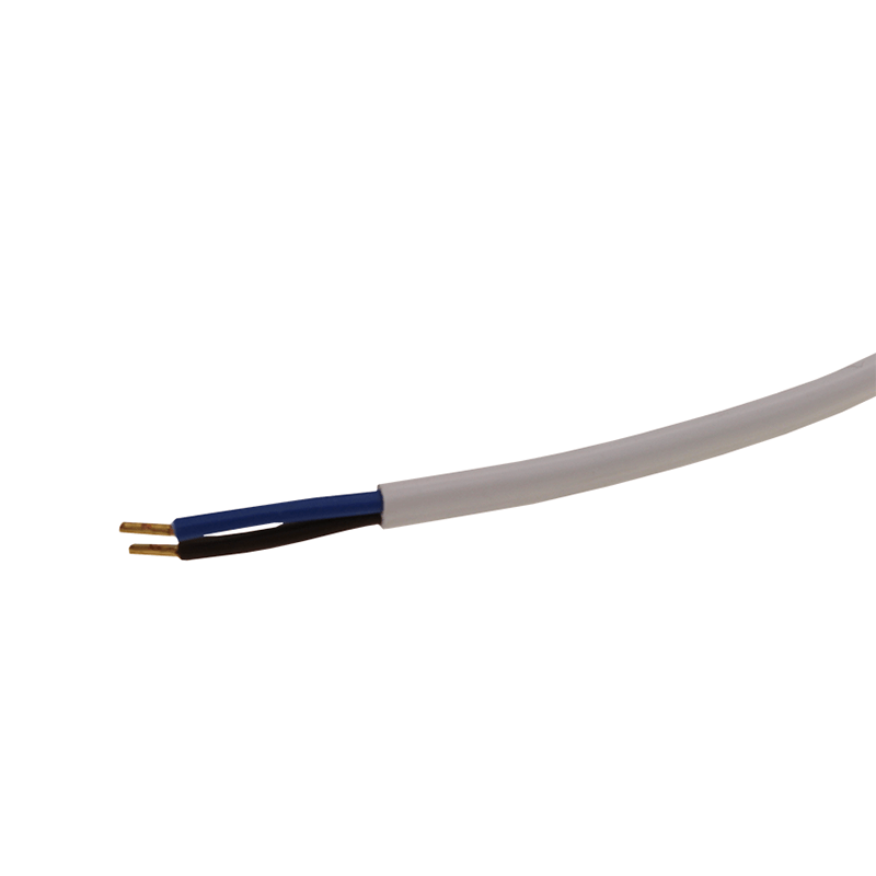 Noodverlichting | Inbouwspot | 1W | Zwart
