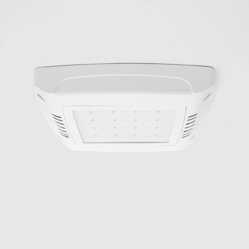 Canopy Breedstraler 100W Tankstation