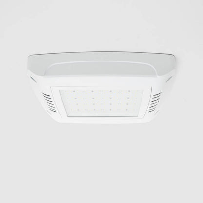 Canopy Breedstraler 100W Tankstation