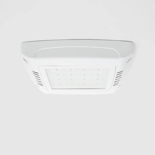 Canopy Breedstraler 100W Tankstation