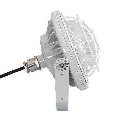 Atexaro LED ATEX schijnwerper 60W beugel