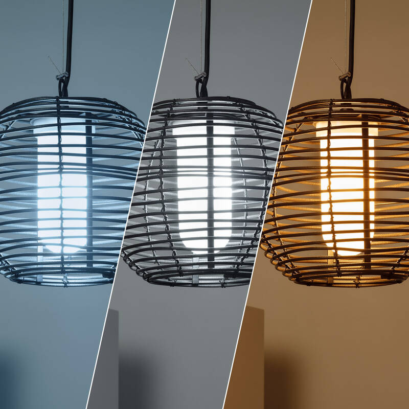 Lumexa Ashavo Buiten Hanglamp IP44 E27
