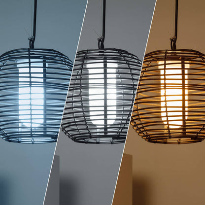 Lumexa Ashavo Buiten Hanglamp IP44 E27