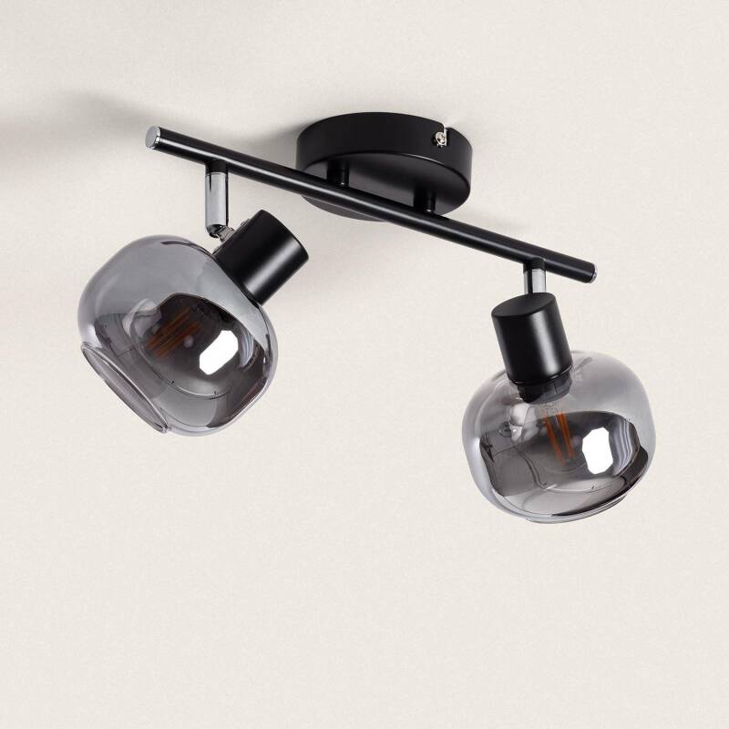 Romsaro plafondlamp 2-spots metaal glas