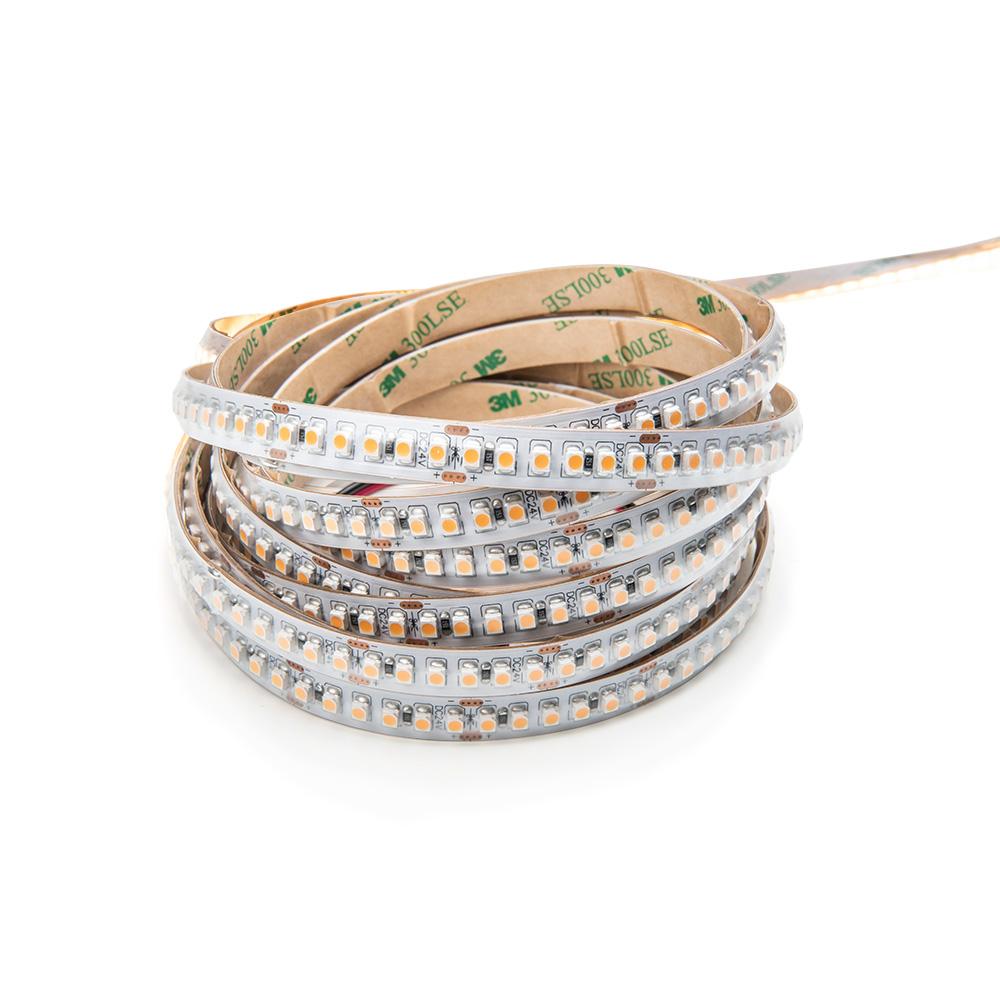 LED strip 24V | 180LED/m 3528 | 5m | IP65