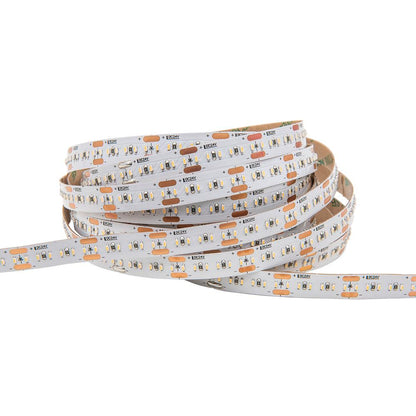 LED strip | 24V | 240LED/m 2010 | 5m | IP20