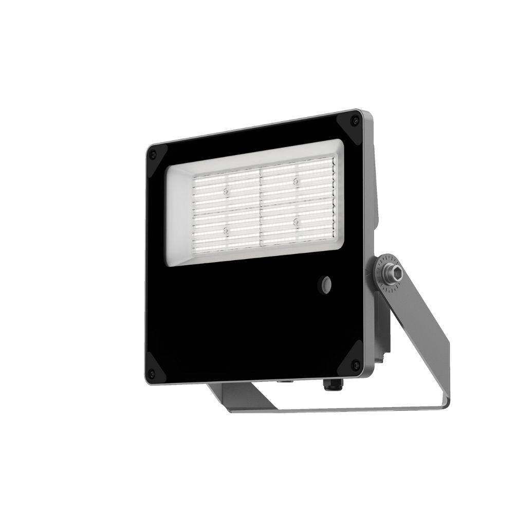 Floodlight | 50W/75W/100W | 100x60° | 3-CCT | sensor