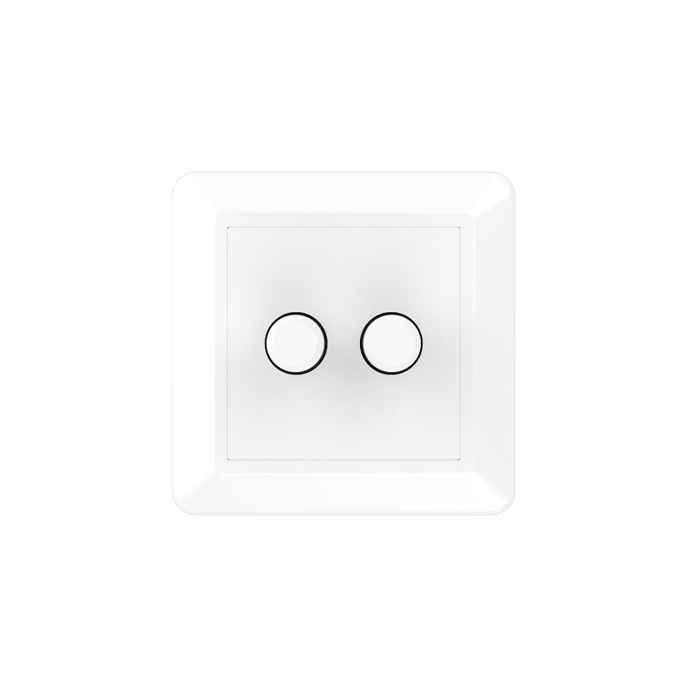 LED dimmer dubbel fase-afsnijding | 2x 2W~100W incl. plaat
