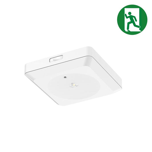 Nood downlight | 3W | 148*148mm
