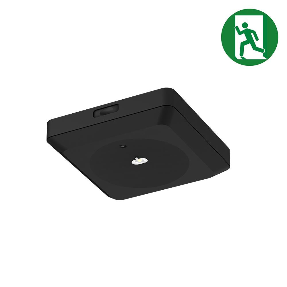 Nood downlight | 3W | 148*148mm