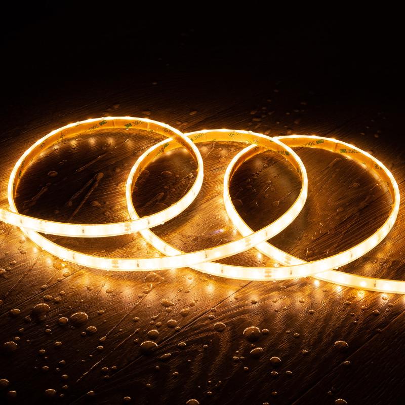 Lumexa Stripivo LED-strip 24V SMD 60 LED/m 5W/m 10 mm 5 m