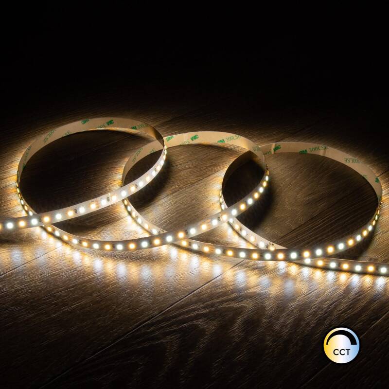 Lumexa Stripivo LED-strip 24V SMD CCT 280 LED/m 12W/m 5 m