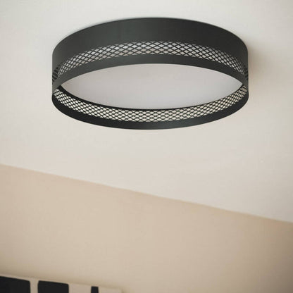 Saskaro L detail