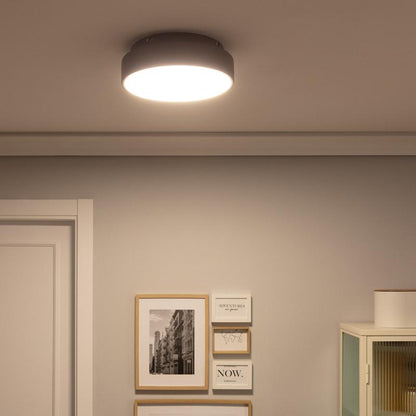 Lumexa Metavo LED Plafondlamp 15W Rond Metaal Ø300 CCT Grijs