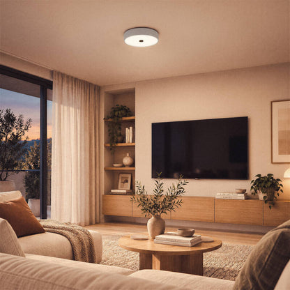 Lumexa Eyelighto LED Ceiling Light 24W