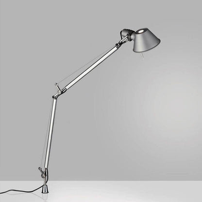 Tolomeo Fijo detail