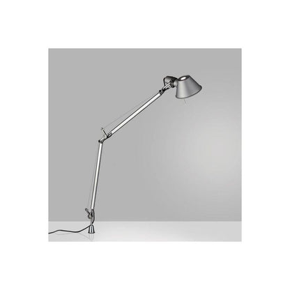 Tolomeo Fijo detail